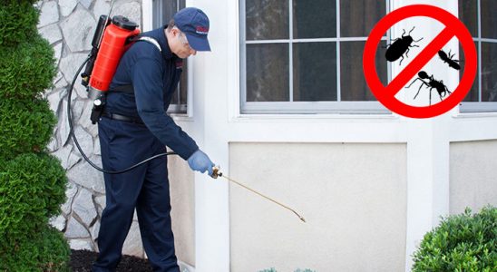Eskifoça Karınca İlaçlama böcek ilaçlama ve haşere kontrolü — ilaclama-tr.com
